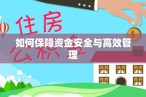 寿丰如何保障资金安全与高效管理