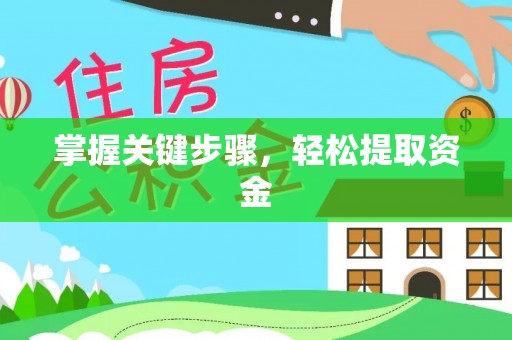 寿丰掌握关键步骤，轻松提取资金