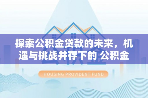 寿丰探索公积金贷款的未来，机遇与挑战并存下的 公积金贷款风险防控