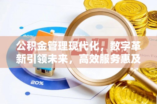 寿丰公积金管理现代化，数字革新引领未来，高效服务惠及民生