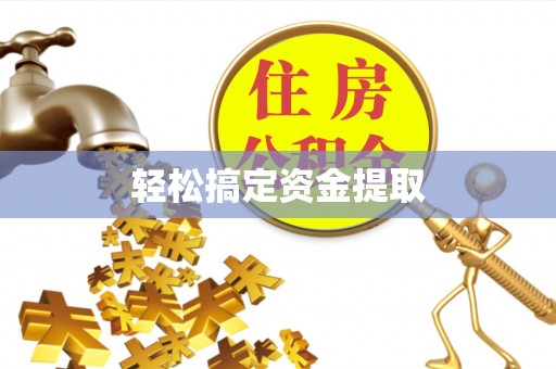 寿丰轻松搞定资金提取