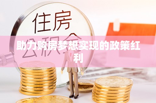 寿丰助力购房梦想实现的政策红利