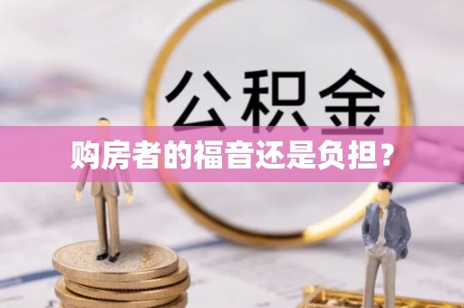 寿丰购房者的福音还是负担？