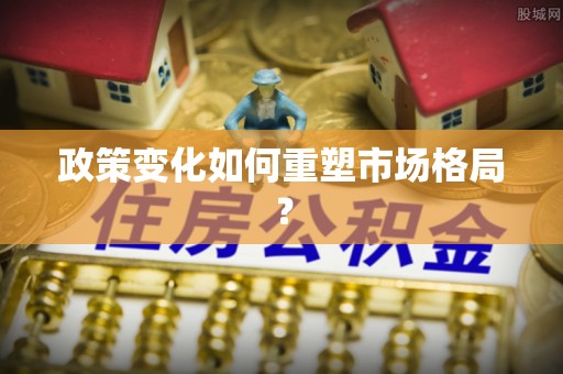 寿丰政策变化如何重塑市场格局？