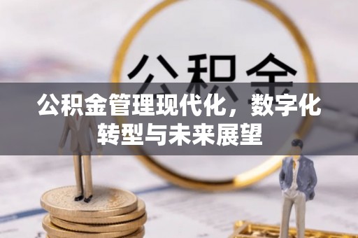 寿丰公积金管理现代化，数字化转型与未来展望