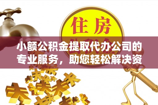 寿丰小额公积金提取代办公司的专业服务，助您轻松解决资金难题