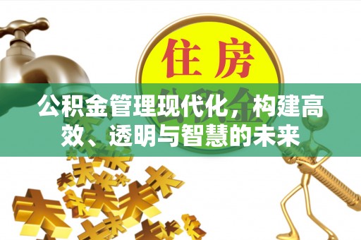 寿丰公积金管理现代化，构建高效、透明与智慧的未来
