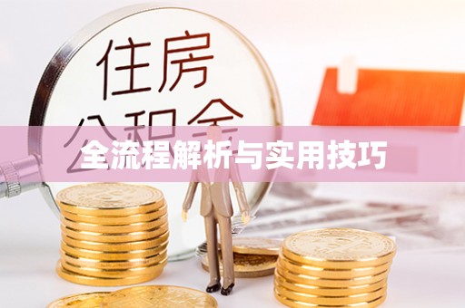 寿丰全流程解析与实用技巧