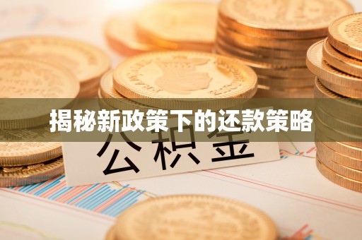 寿丰揭秘新政策下的还款策略