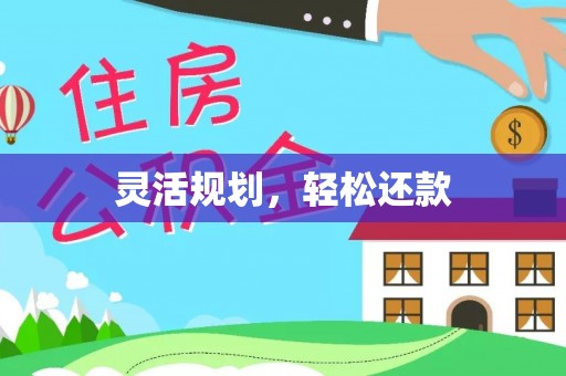 寿丰灵活规划，轻松还款