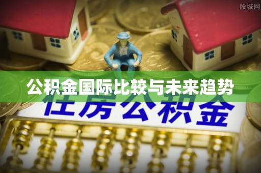 寿丰公积金国际比较与未来趋势
