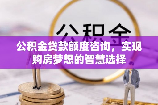 寿丰公积金贷款额度咨询，实现购房梦想的智慧选择