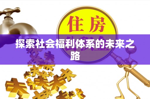 寿丰探索社会福利体系的未来之路