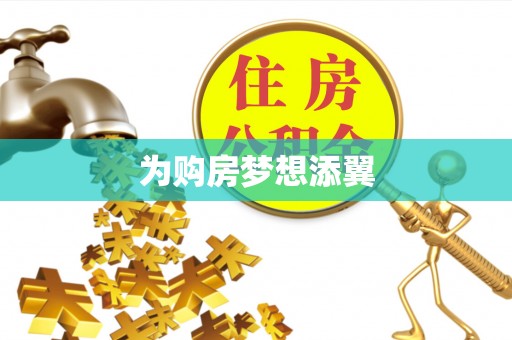 寿丰为购房梦想添翼