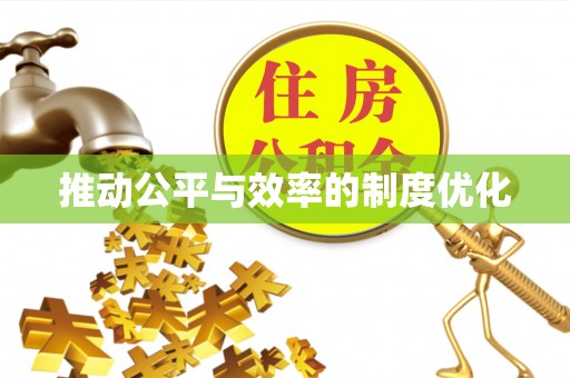 寿丰推动公平与效率的制度优化