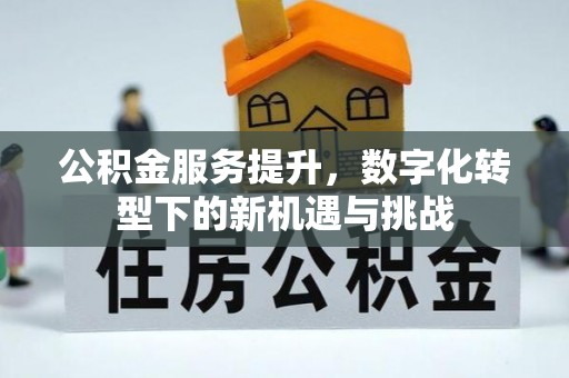 寿丰公积金服务提升，数字化转型下的新机遇与挑战