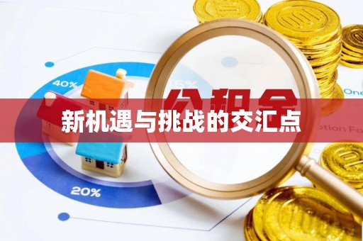 寿丰新机遇与挑战的交汇点