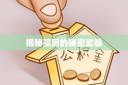 寿丰揭秘买房的秘密武器