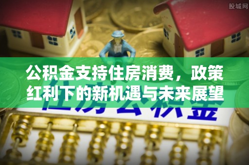 寿丰公积金支持住房消费，政策红利下的新机遇与未来展望