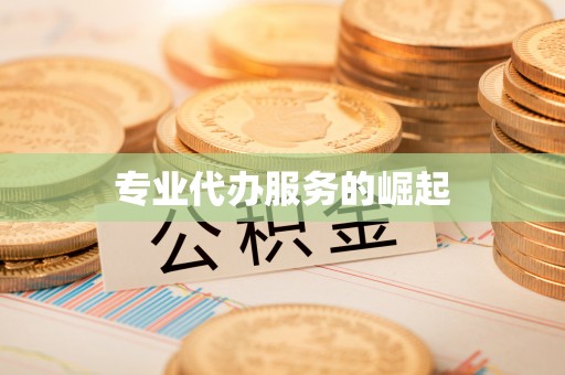 寿丰专业代办服务的崛起