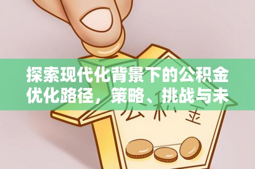 寿丰探索现代化背景下的公积金优化路径，策略、挑战与未来展望
