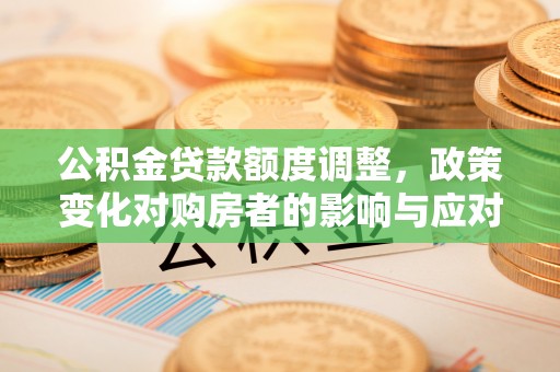寿丰公积金贷款额度调整，政策变化对购房者的影响与应对策略