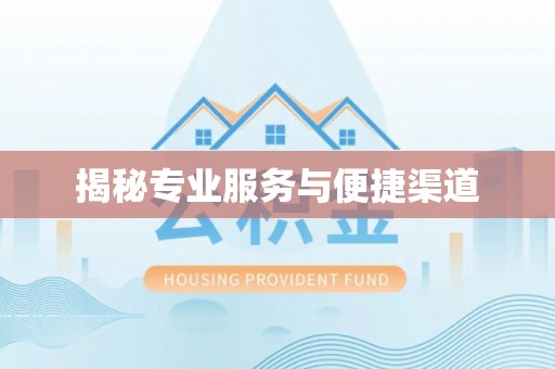 寿丰揭秘专业服务与便捷渠道