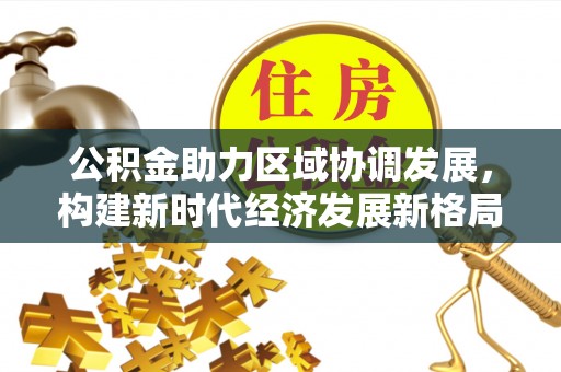 寿丰公积金助力区域协调发展，构建新时代经济发展新格局