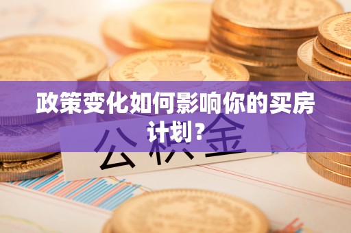 寿丰政策变化如何影响你的买房计划？