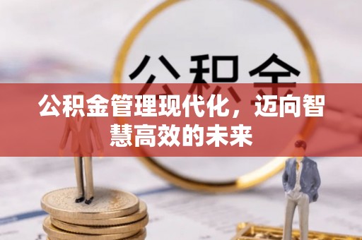 寿丰公积金管理现代化，迈向智慧高效的未来