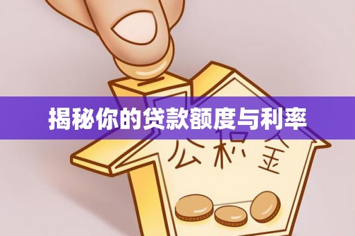 寿丰揭秘你的贷款额度与利率