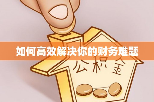寿丰如何高效解决你的财务难题