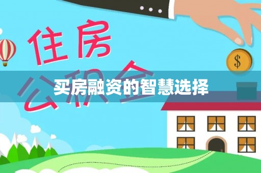 寿丰买房融资的智慧选择