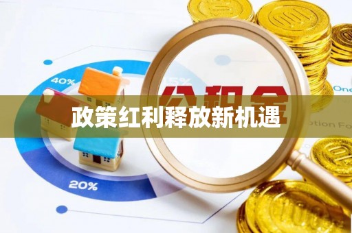 寿丰政策红利释放新机遇