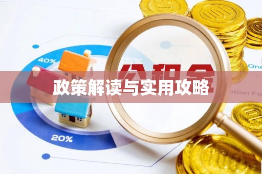 寿丰政策解读与实用攻略
