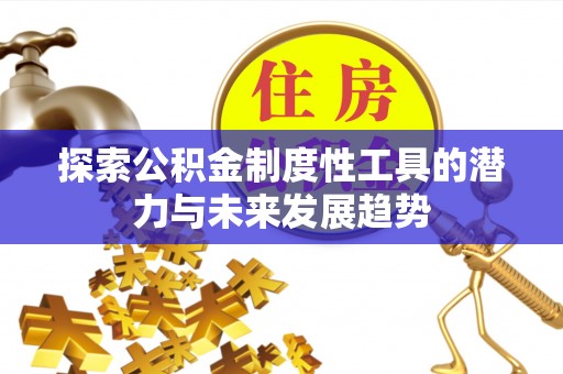 寿丰探索公积金制度性工具的潜力与未来发展趋势