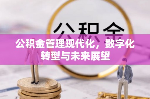 寿丰公积金管理现代化，数字化转型与未来展望