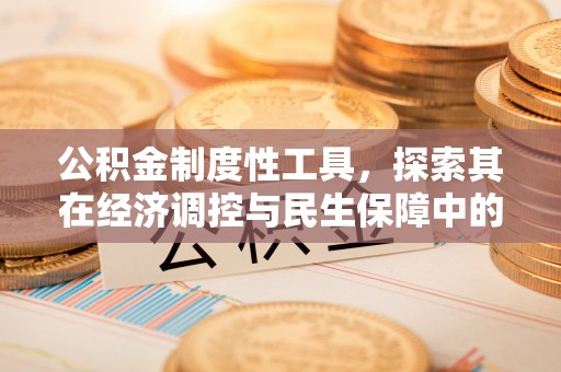 寿丰公积金制度性工具，探索其在经济调控与民生保障中的重要作用