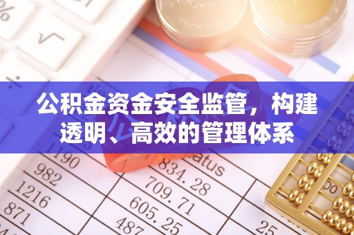寿丰公积金资金安全监管，构建透明、高效的管理体系