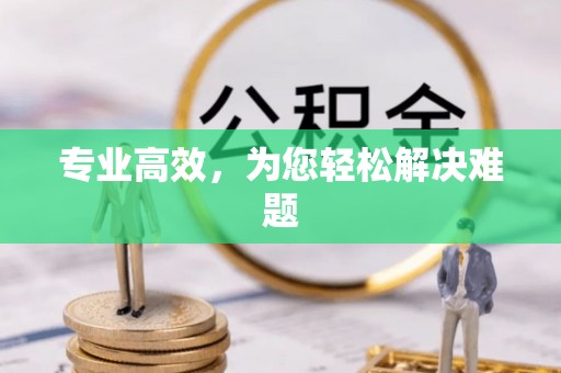 寿丰专业高效，为您轻松解决难题