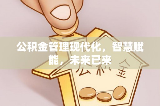 寿丰公积金管理现代化，智慧赋能，未来已来