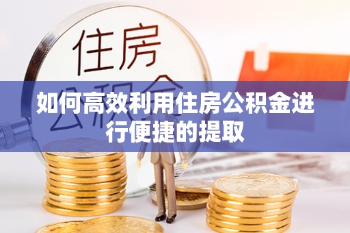 寿丰如何高效利用住房公积金进行便捷的提取