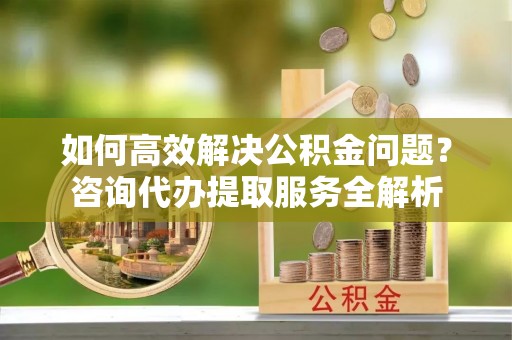寿丰如何高效解决公积金问题？咨询代办提取服务全解析