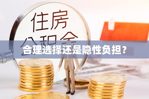 寿丰合理选择还是隐性负担？