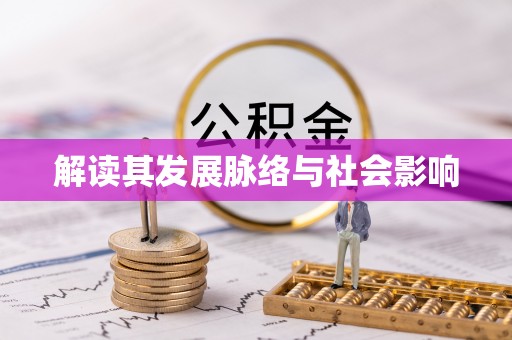 寿丰解读其发展脉络与社会影响