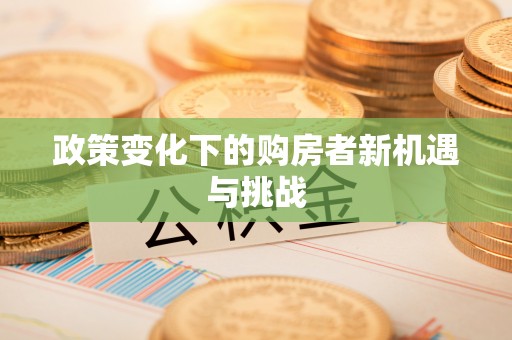 寿丰政策变化下的购房者新机遇与挑战