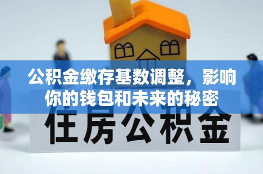 寿丰公积金缴存基数调整，影响你的钱包和未来的秘密