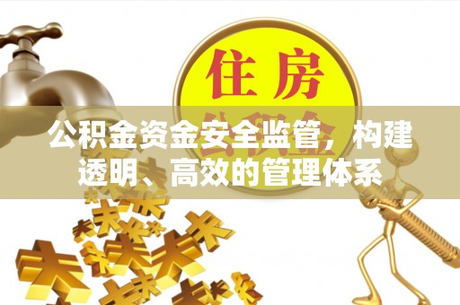 寿丰公积金资金安全监管，构建透明、高效的管理体系