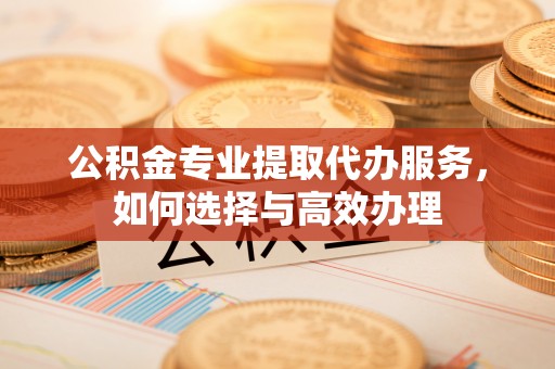 寿丰公积金专业提取代办服务，如何选择与高效办理