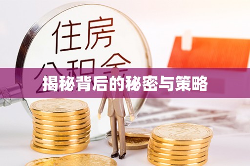 寿丰揭秘背后的秘密与策略